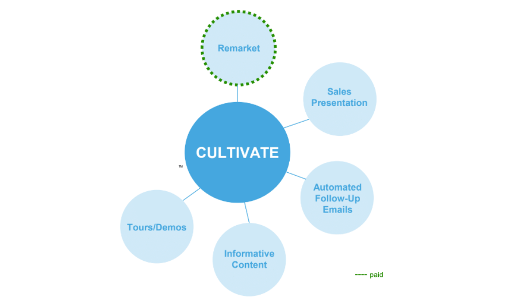 Cultivate for Growth: Reinforcing and Nurturing Client Relationships